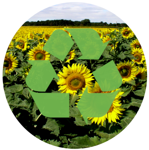 champ de tournesol avec un symbole de recyclage en surimpression