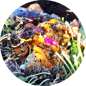 image décorative représentant des épluchures de différentes couleurs